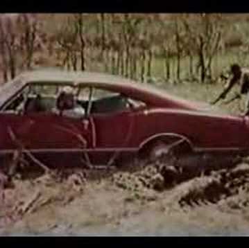 Darrell Cook Photo 31