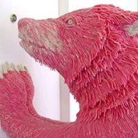 Ted Randall Photo 16