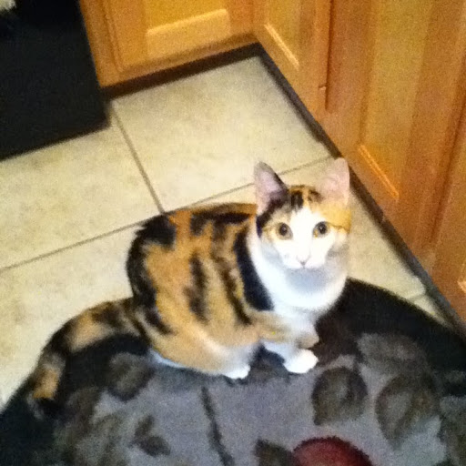 Julie Crawford Photo 5