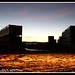 Alice Cross Photo 23