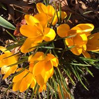 Ruth Duckworth Photo 21 Ruth Duckworth Photo 21