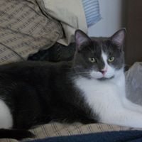 George Devine Photo 24 George Devine Photo 24