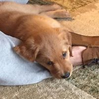 Loretta Nichols Photo 20