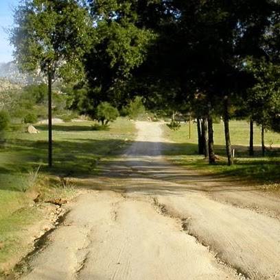 Ruth Alvarado Photo 11