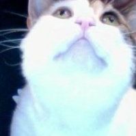 Robert Rubinstein Photo 11 Robert Rubinstein Photo 11