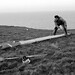 John Kent Photo 19
