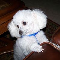 Patsy Lindsey Photo 9