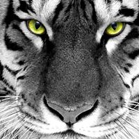 Michelle Pringle Photo 13