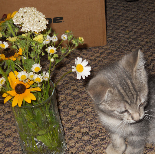 Samantha Anderson Photo 8