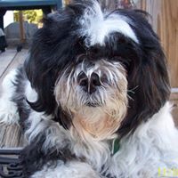 Harold Sims Photo 26