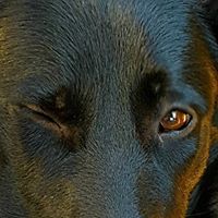 Suzanne Connolly Photo 7