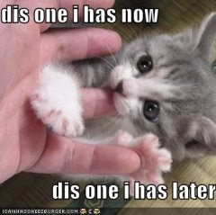 Crystal Sharpe Photo 8