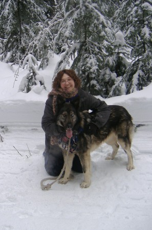 Colleen Harrison Photo 29