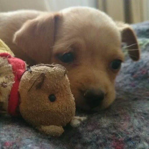 Edgar Morales Photo 38