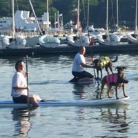 Kristin Russo Photo 16