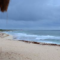 Paul Kendrick Photo 32 Paul Kendrick Photo 32