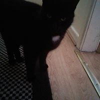 Robert Carver Photo 18