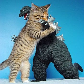 Kevin Mahoney Photo 46