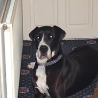 Alice Cahill Photo 11