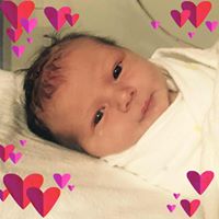 Jane Perkins Photo 17