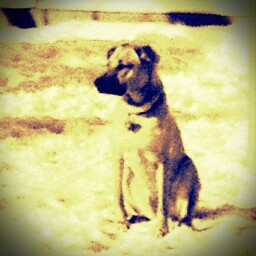 Jennifer Mansfield Photo 32