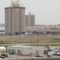 Janice Reichert Photo 7