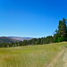 Kimberly Meadows Photo 26