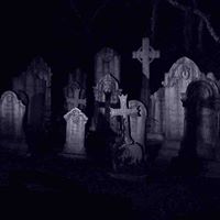 Vernon Walker Photo 23