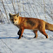 Michael Hooks Photo 9