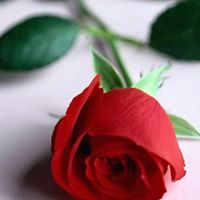 Silver Clark Photo 14