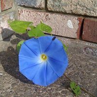 Deborah Nutter Photo 5