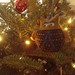 Diane Jamieson Photo 15