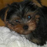 Marty Wheeler Photo 22