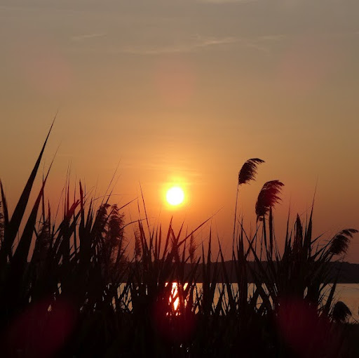 Tricia Tully Photo 15