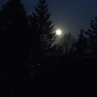 Deborah Harger Photo 3