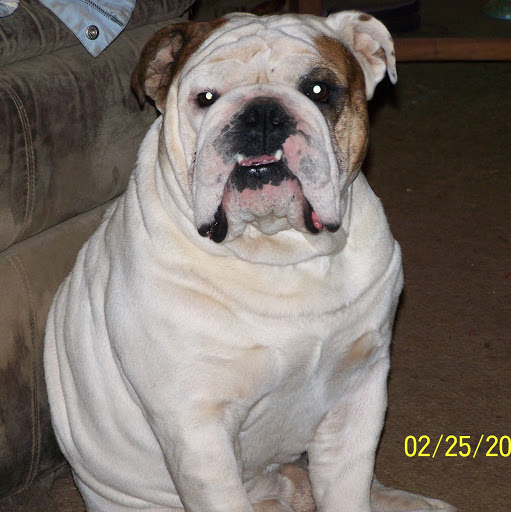 Sandy Monroe Photo 14