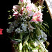 Debbie Franks Photo 16