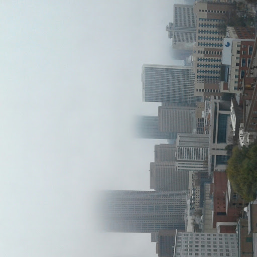 Brandon Callahan Photo 12