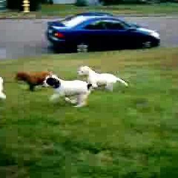 Louis Colon Photo 29