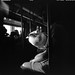 Tracy Coogan Photo 20