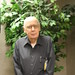David Wolters Photo 8