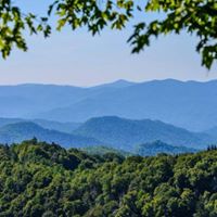 Richard Coker Photo 35