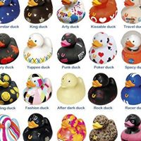 Renee Spaulding Photo 4