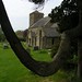 Mary Johns Photo 22