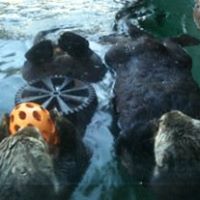 Celeste Rogers Photo 5