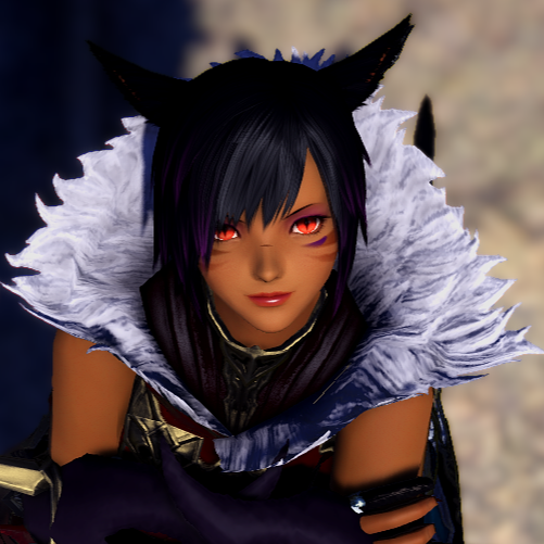 Jeffery Jenkins Photo 28