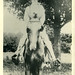 Willis Sharp Photo 11