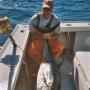 Robert Savino Photo 18
