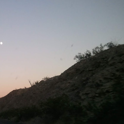 Samantha Aiello Photo 19