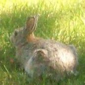 Roberta Blake Photo 23